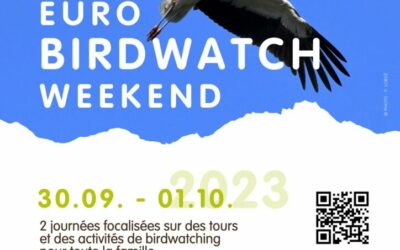 Natur&Ëmwelt – Birdwatch Weekend 30/9/-1/10/2023