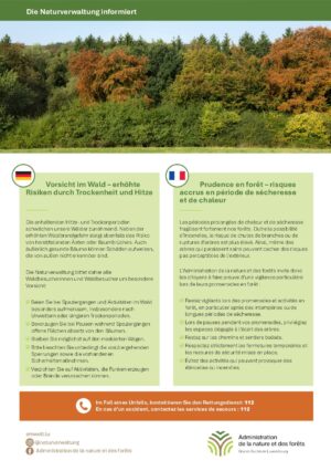 Vorsicht im Wald - Risiken durch Trockenheit / Prudence en forêt - risques en période de sécheresse