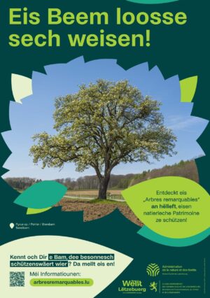 Eis Beem loosse sech weisen - Arbres remarquables