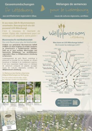 Geseemsmëschungen & Wëllstauden / Mélanges de semences & Vivaces sauvages