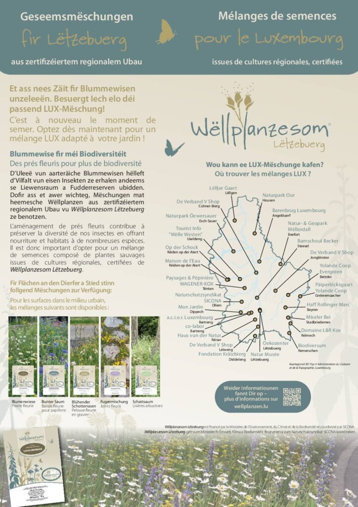 Geseemsmëschungen & Wëllstauden / Mélanges de semences & Vivaces sauvages